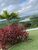 Terreno, 160 m² - Foto 3