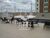Apartamento, 2 quartos, 48 m² - Foto 7