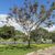 Terreno, 720 m² - Foto 35