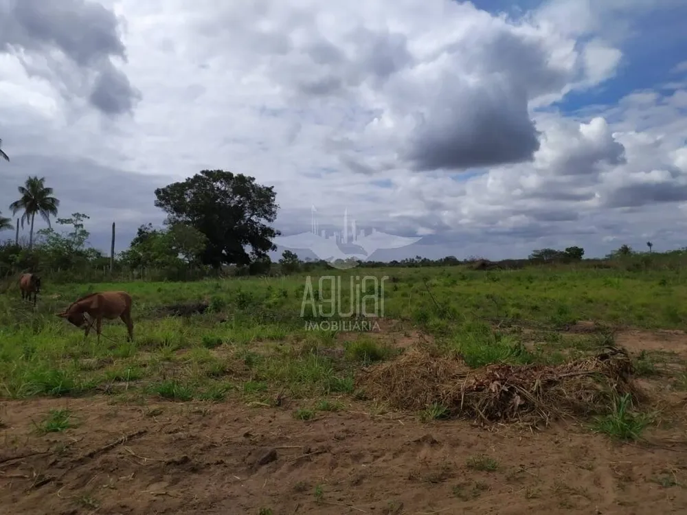 Terreno, 3 hectares - Foto 3
