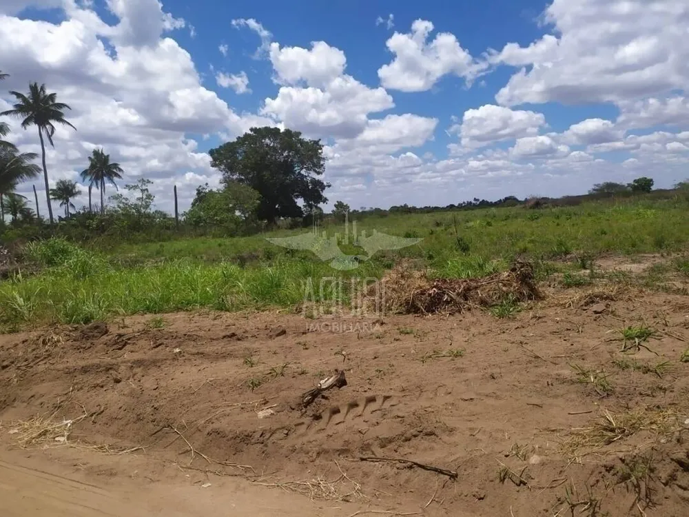 Terreno, 3 hectares - Foto 6
