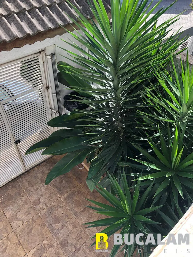 Casa, 3 quartos, 220 m² - Foto 14