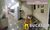 Cobertura, 2 quartos, 170 m² - Foto 4