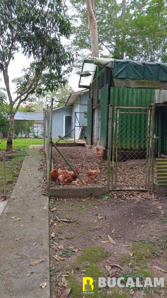 Chácara, 3 quartos, 2453 m² - Foto 3