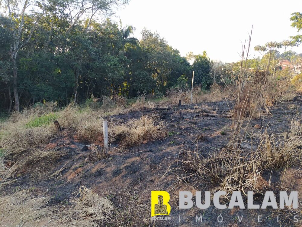 Terreno, 2 hectares - Foto 4