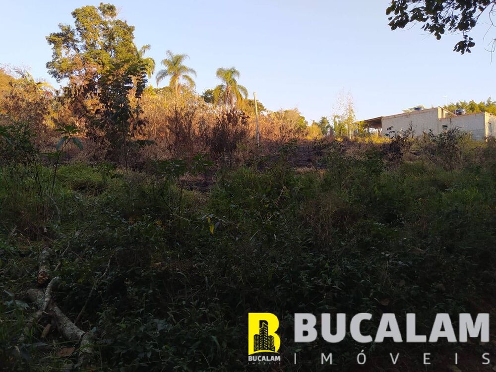 Terreno, 2 hectares - Foto 12