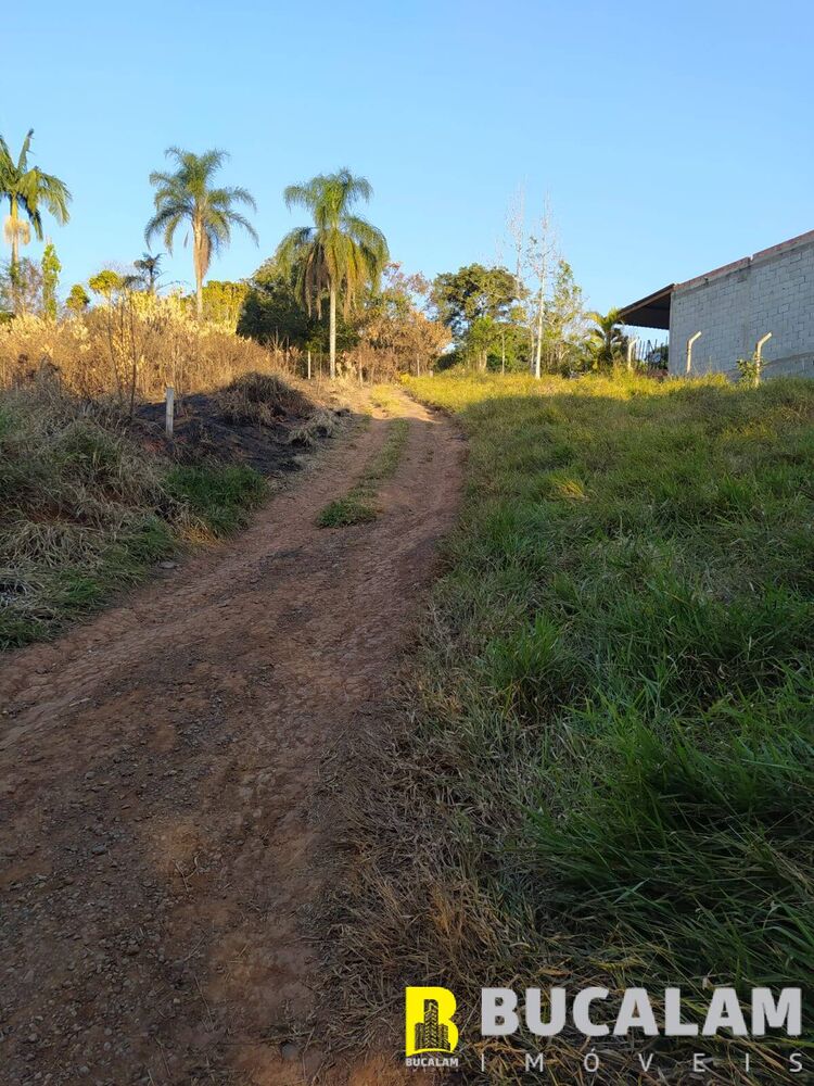 Terreno, 2 hectares - Foto 7