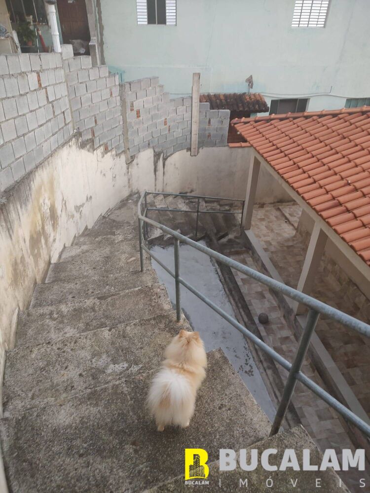 Casa, 3 quartos, 500 m² - Foto 10