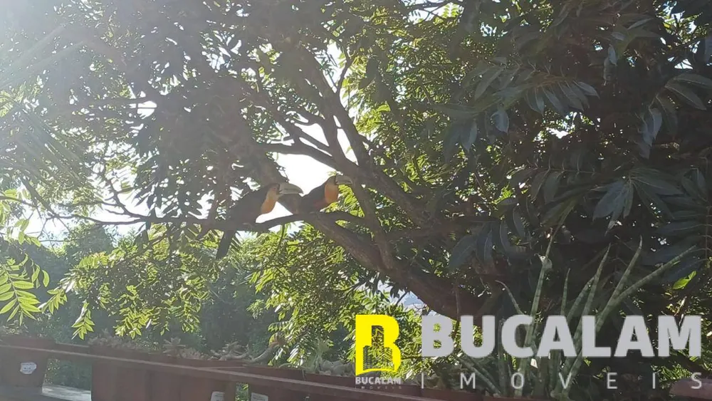 Apartamento, 3 quartos, 112 m² - Foto 6