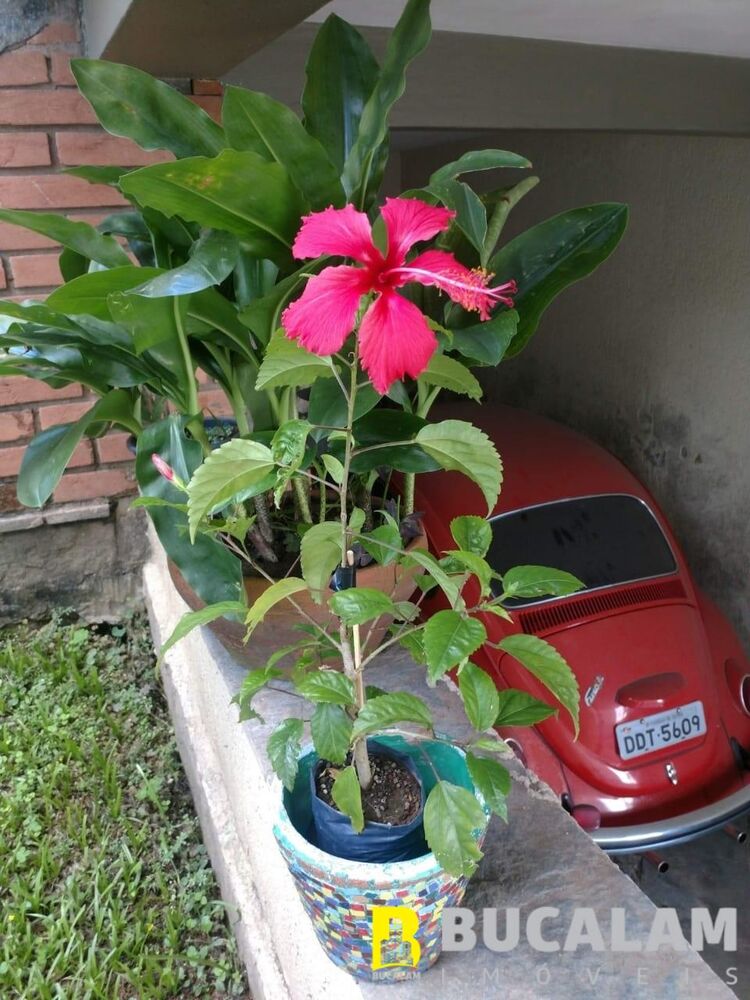 Casa, 3 quartos, 190 m² - Foto 11