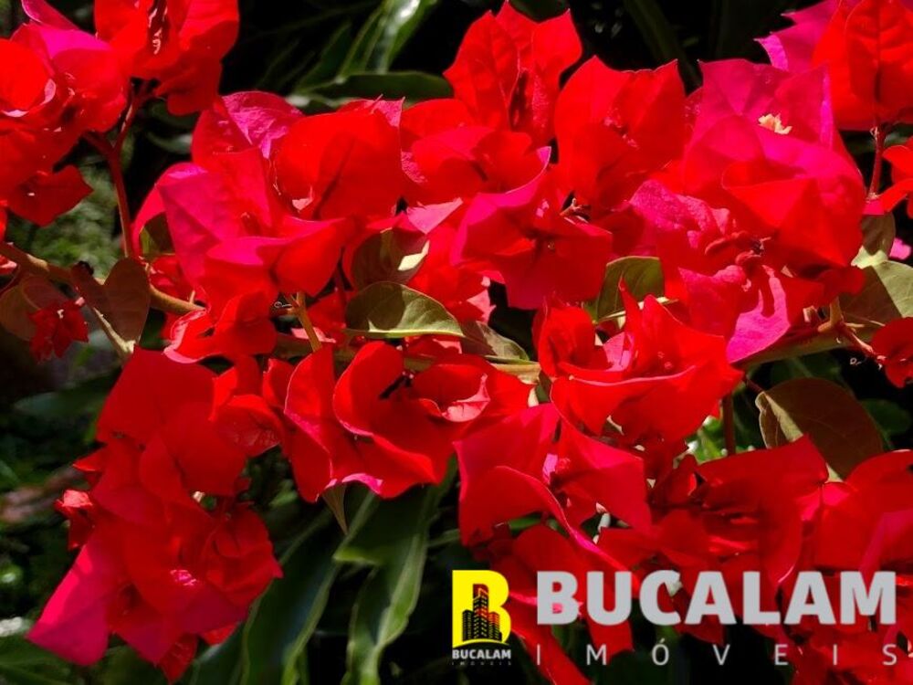 Casa, 3 quartos, 3333 m² - Foto 16