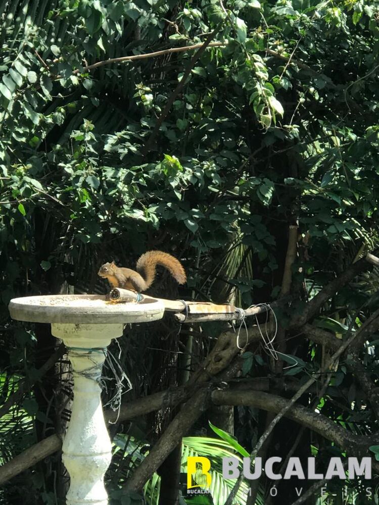 Casa, 3 quartos, 3333 m² - Foto 5