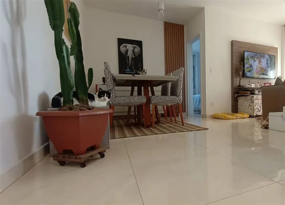 Apartamento, 1 quarto, 60 m² - Foto 3