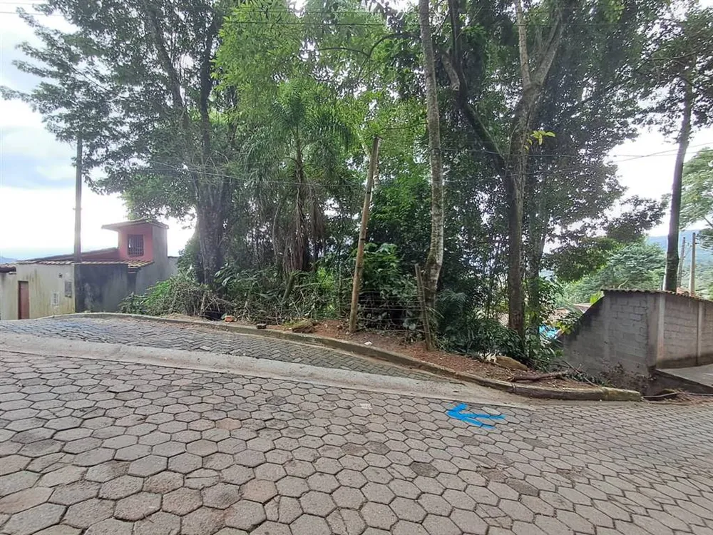 Terreno - Foto 3
