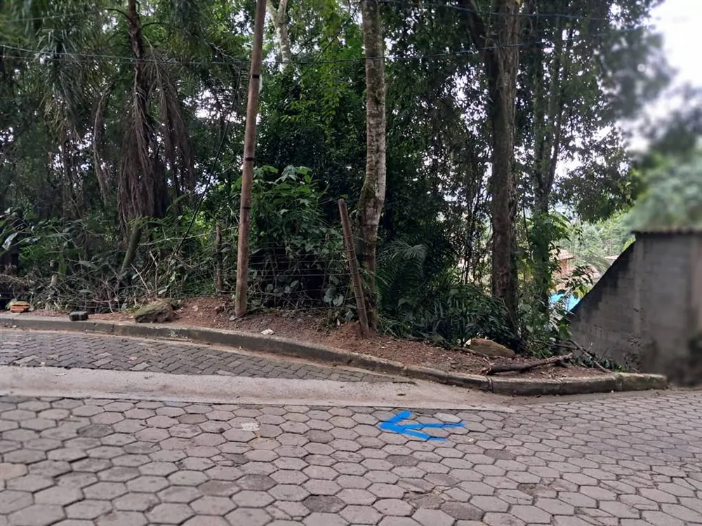 Terreno - Foto 4