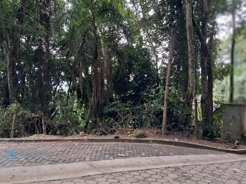 Terreno - Foto 5