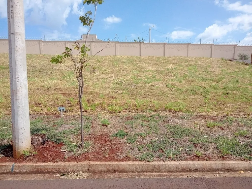 Terreno - Foto 2
