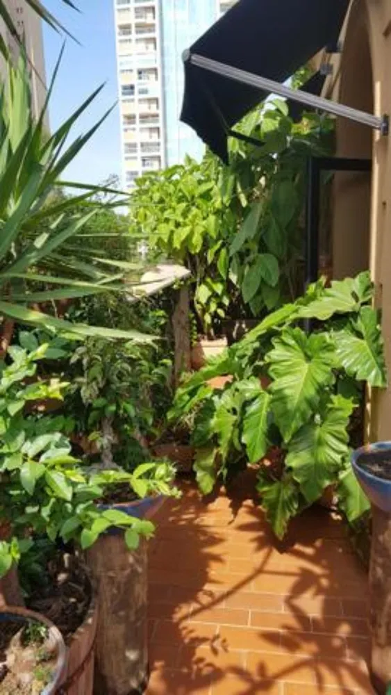 Cobertura, 3 quartos, 214 m² - Foto 10
