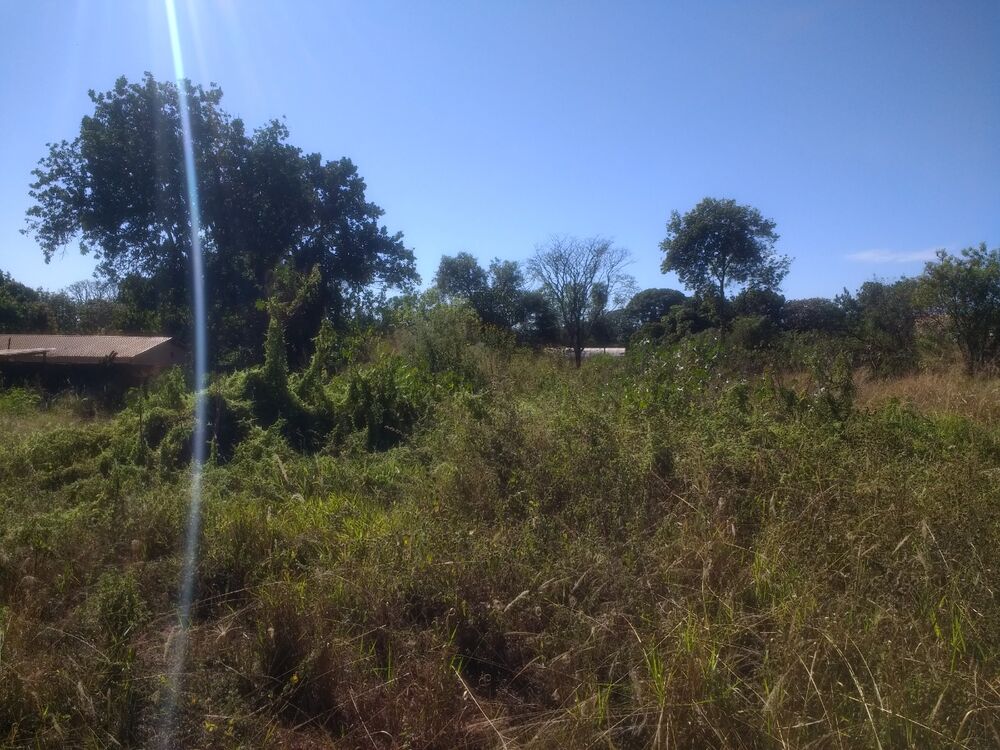 Terreno à venda, 4800m² - Foto 2
