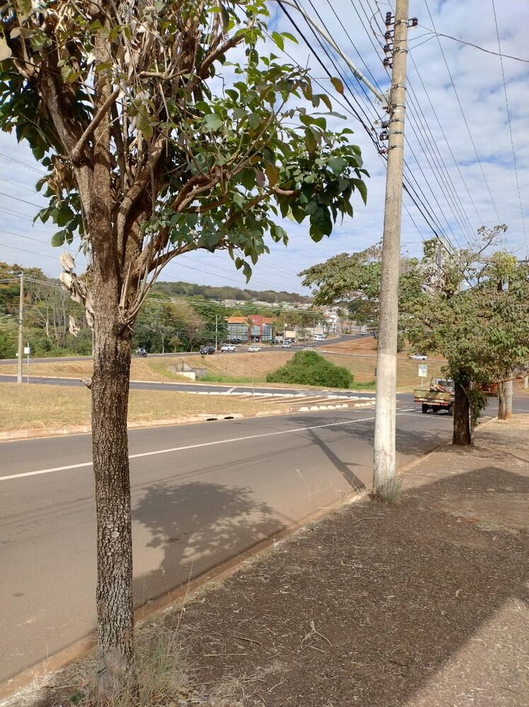 Loteamento e Condomínio, 252 m² - Foto 2