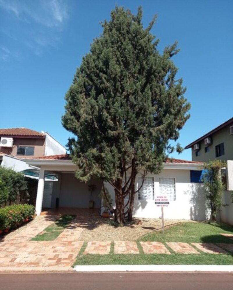 Casa à venda com 3 quartos - Foto 2