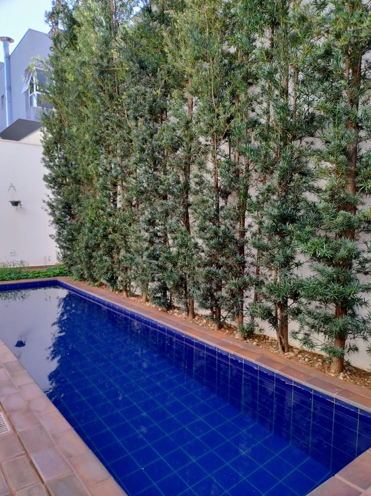 Casa, 3 quartos - Foto 11