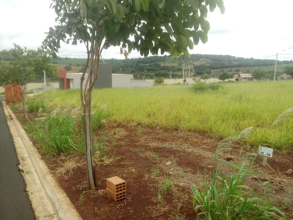 Terreno, 250 m² - Foto 3