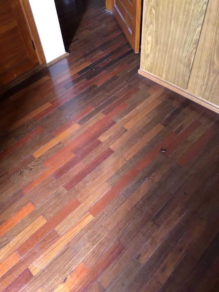Apartamento, 3 quartos, 86 m² - Foto 3