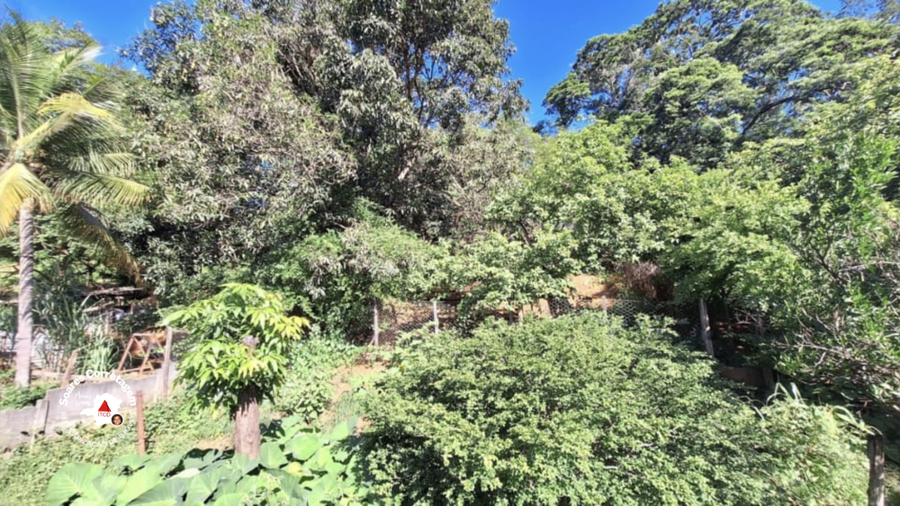 Casa, 5 quartos, 159 m² - Foto 2