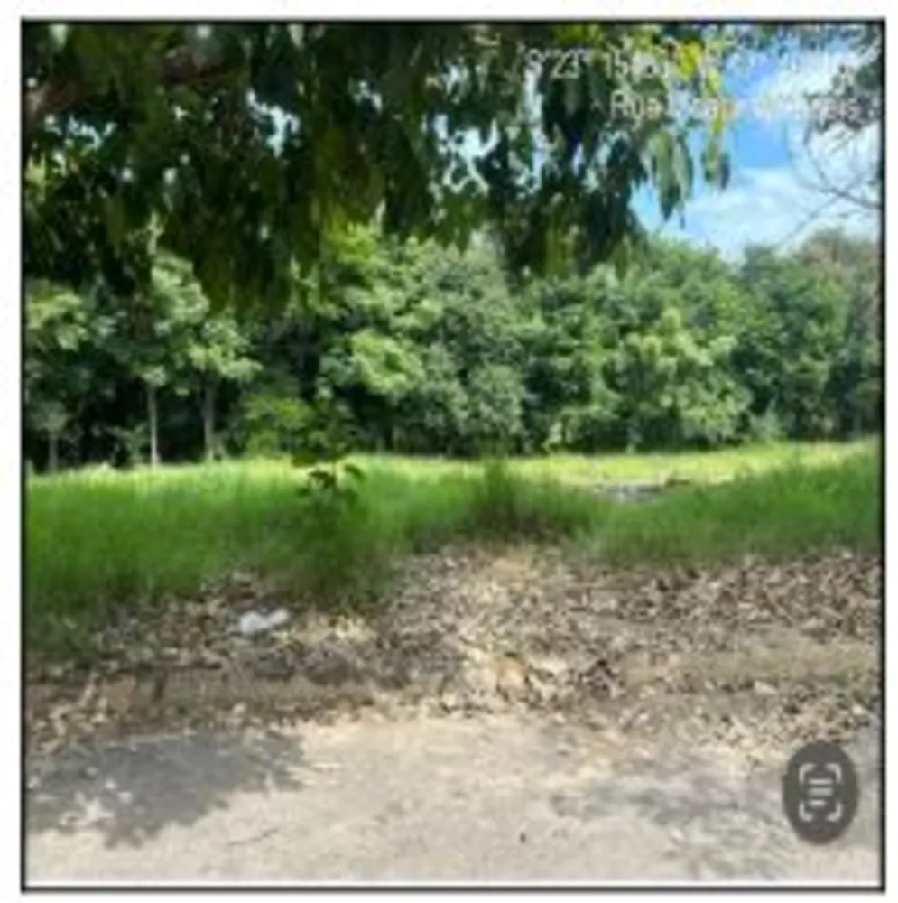 Terreno - Foto 1