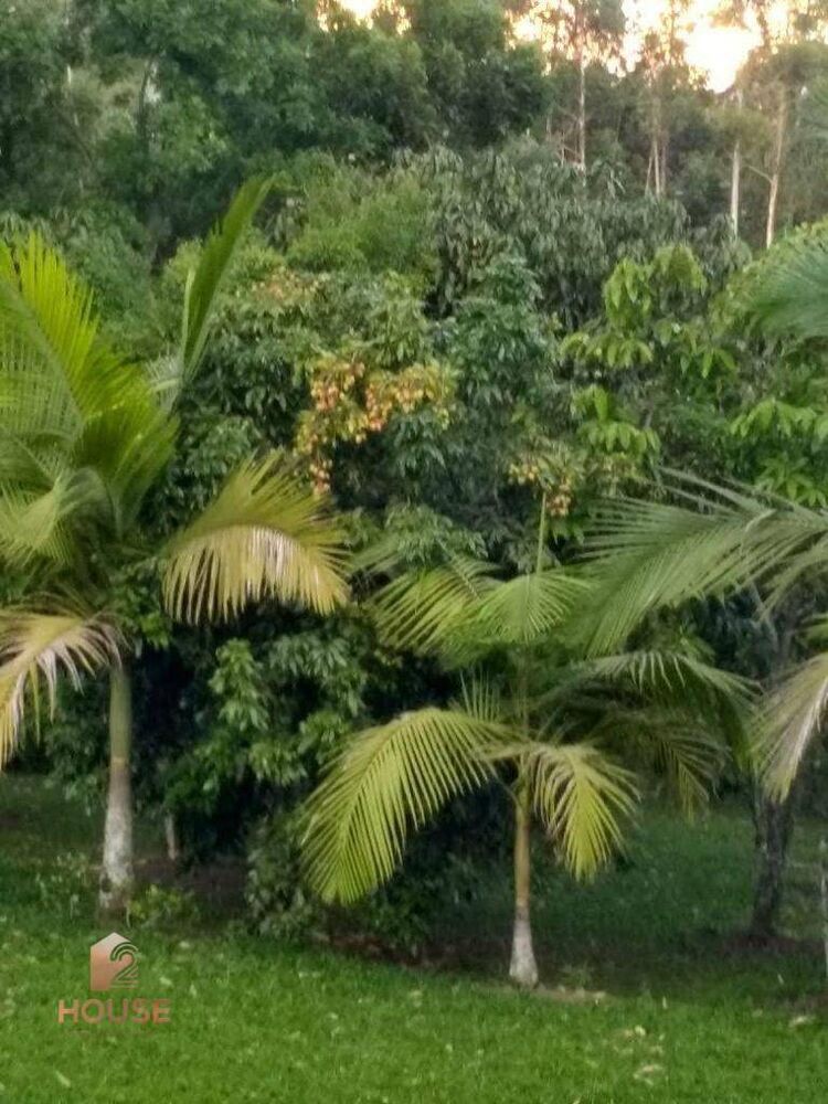 Chácara à venda com 5 quartos, 4000m² - Foto 2