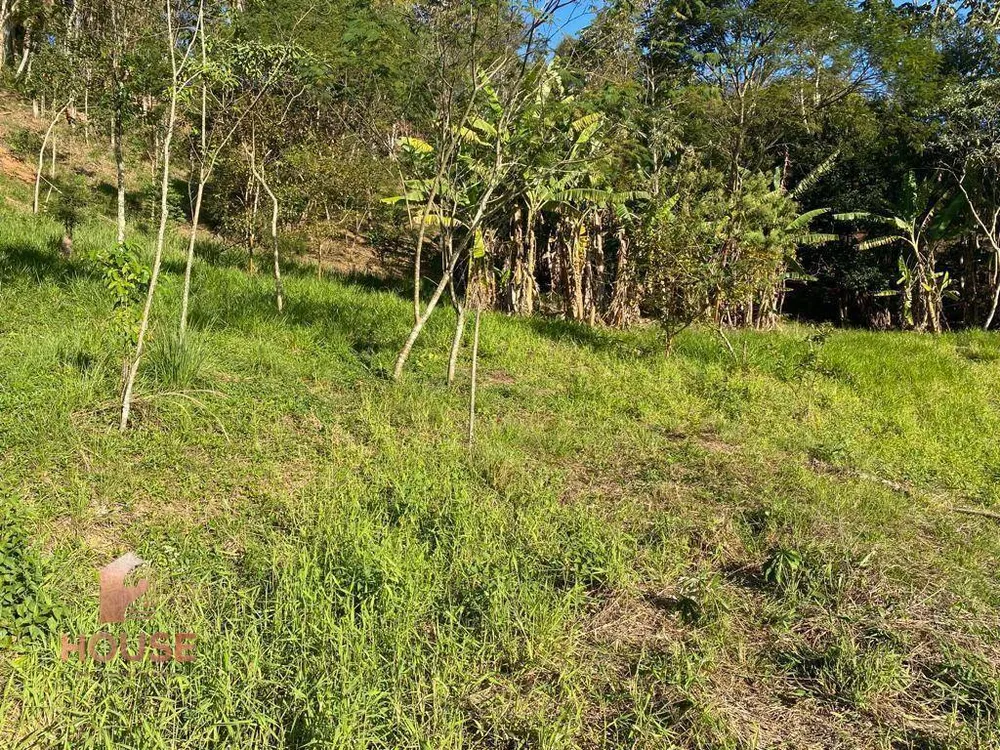 Terreno, 2500 m² - Foto 7