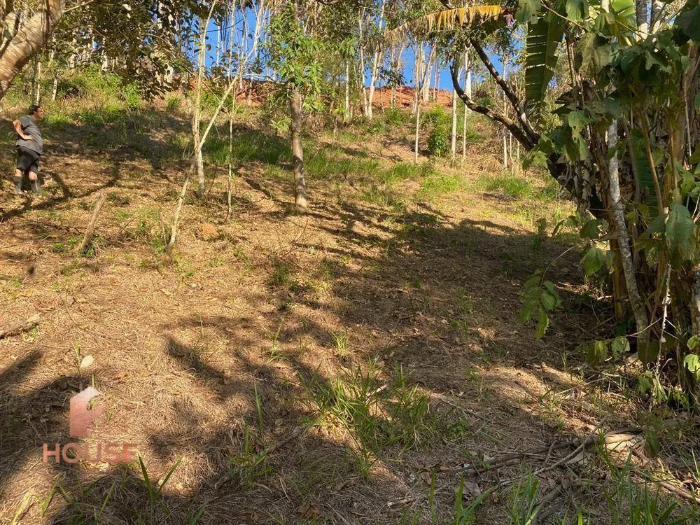 Terreno, 2500 m² - Foto 4