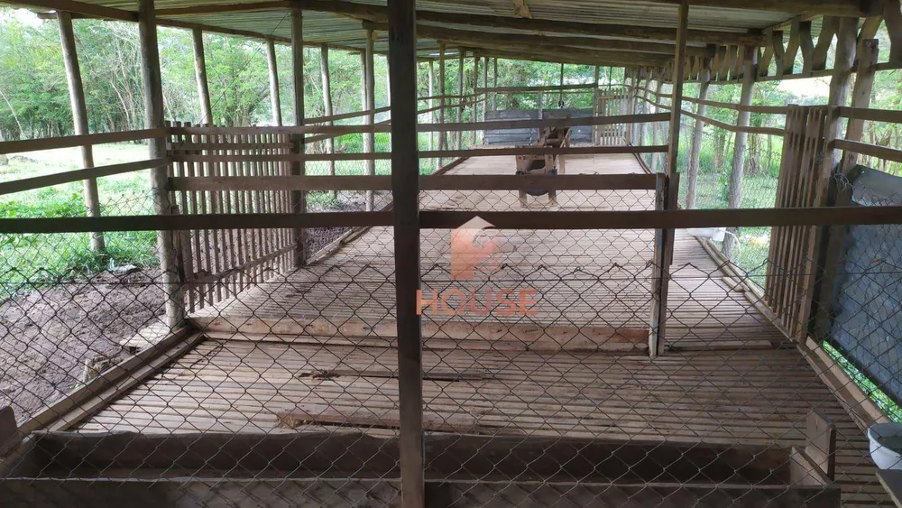 Fazenda, 7 hectares - Foto 36