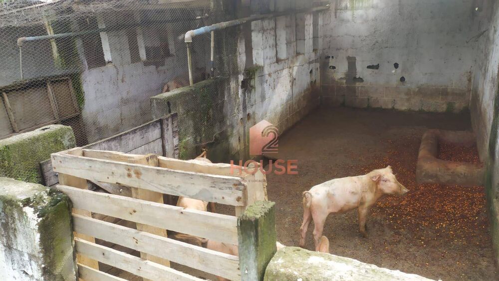 Fazenda-Sítio-Chácara, 7 hectares - Foto 2