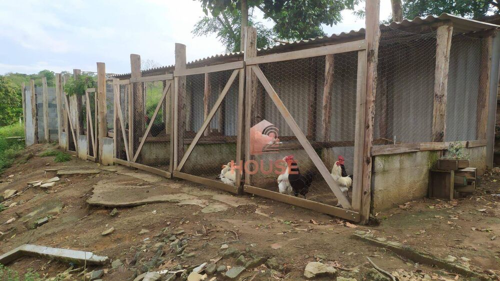 Fazenda-Sítio-Chácara, 7 hectares - Foto 7