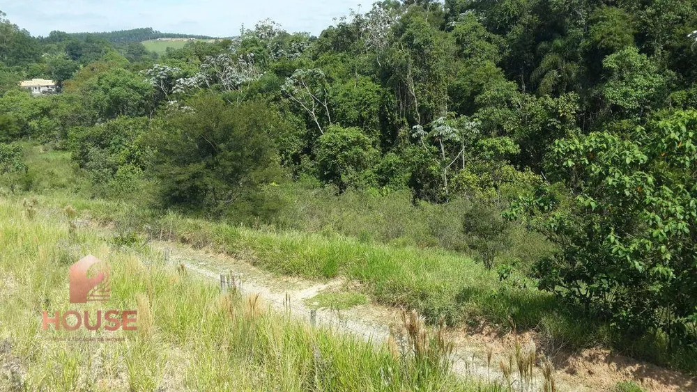 Terreno, 2 hectares - Foto 3