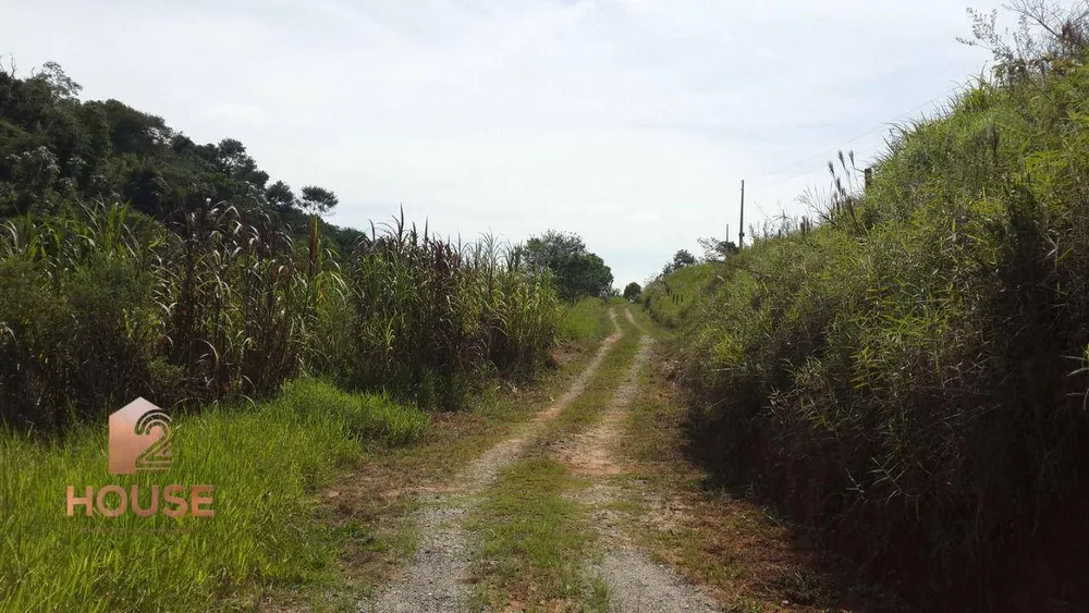 Terreno, 2 hectares - Foto 7