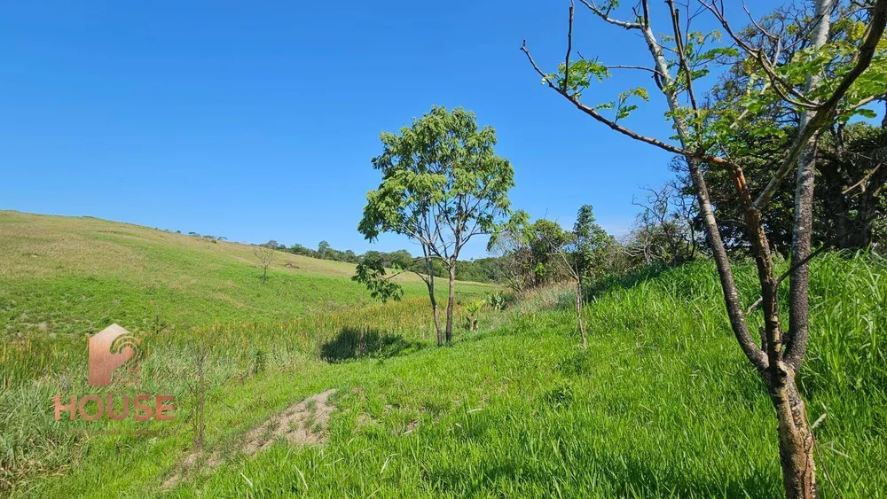 Terreno, 9 hectares - Foto 2