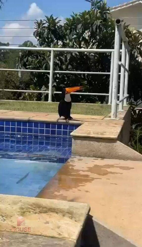 Casa de Condomínio à venda com 4 quartos, 600m² - Foto 5