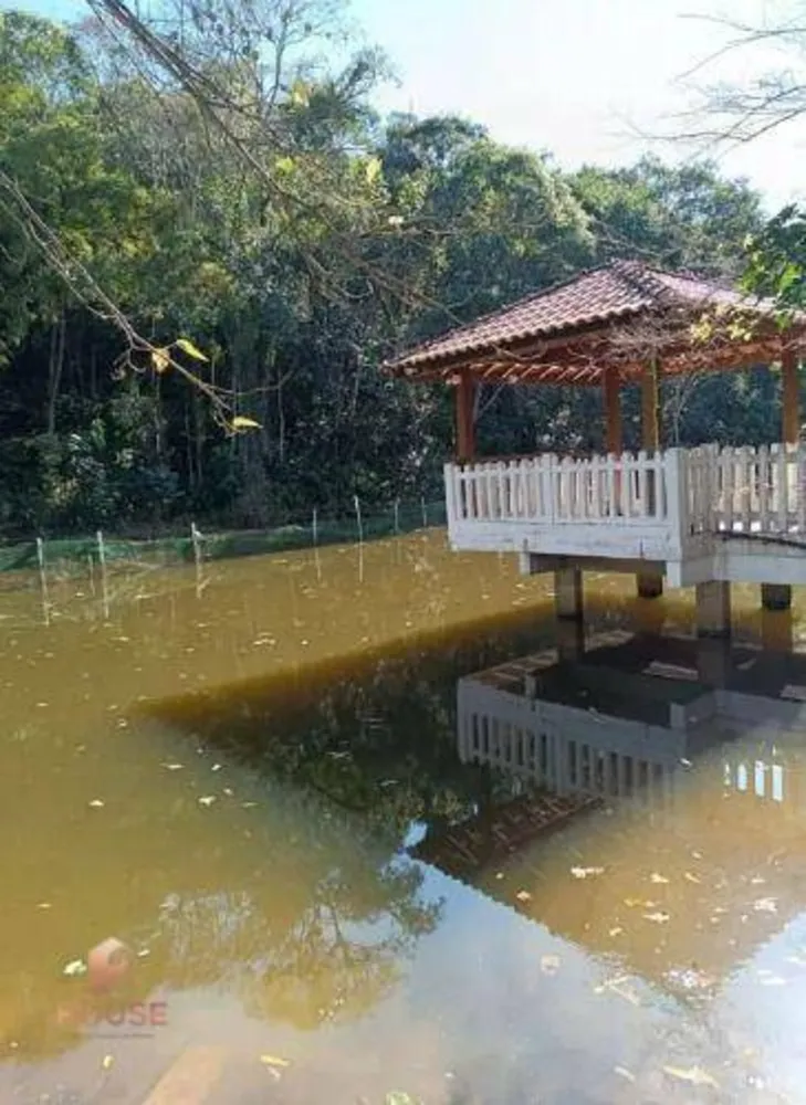 Chácara, 4 quartos, 5000 m² - Foto 7
