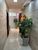 Apartamento, 3 quartos, 100 m² - Foto 2