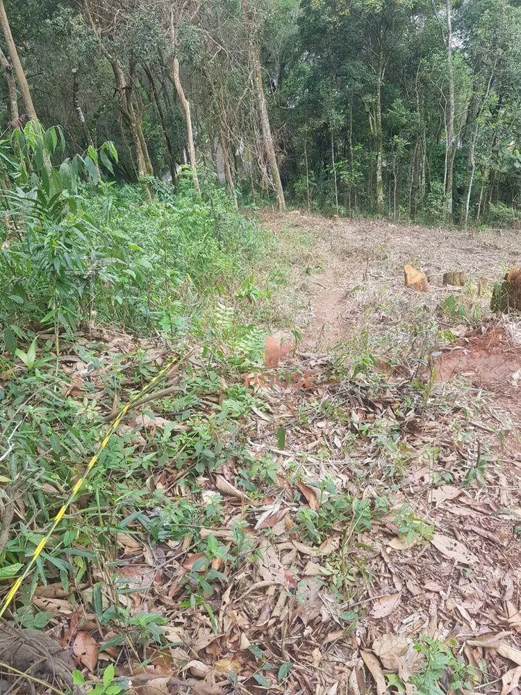 Loteamento e Condomínio à venda, 1659M2 - Foto 4