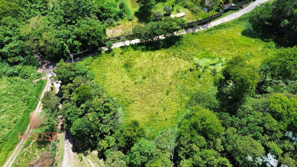 Terreno, 9000 m² - Foto 4