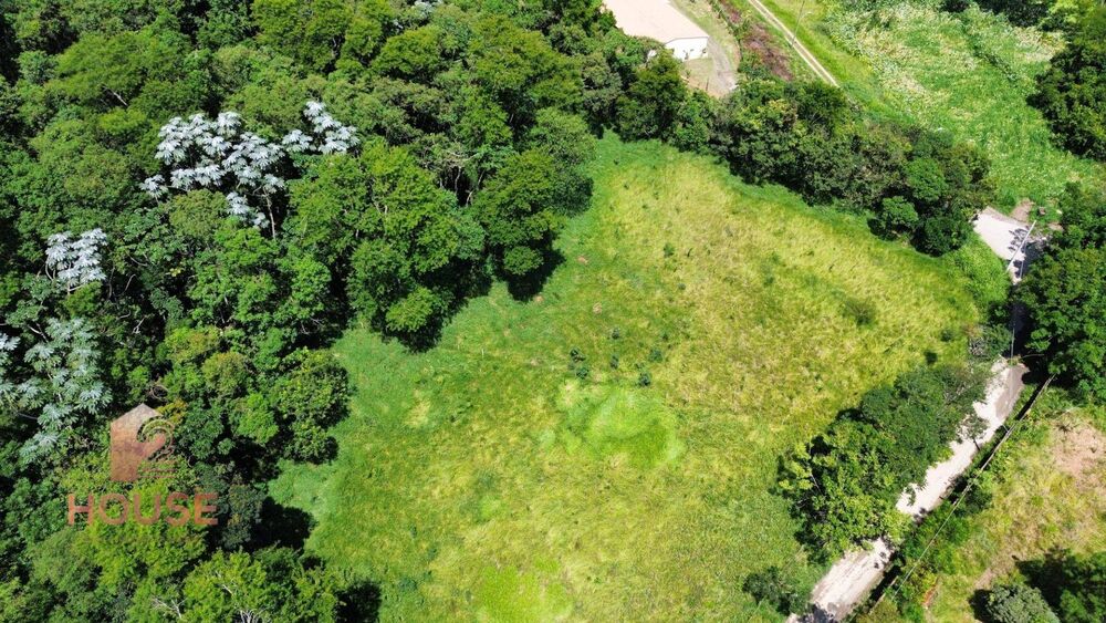 Terreno, 9000 m² - Foto 3