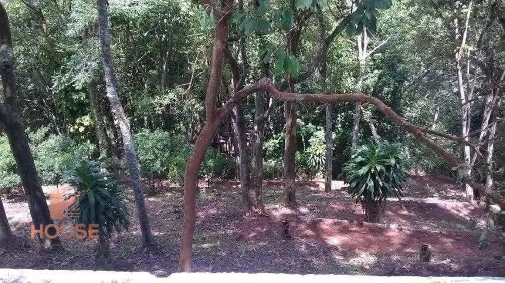 Chácara, 3 quartos, 2000 m² - Foto 3