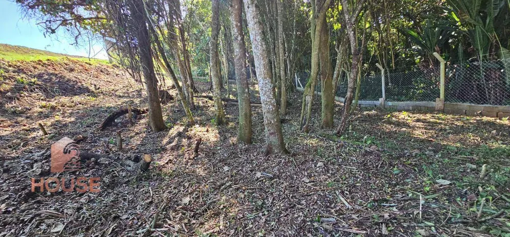 Chácara, 3 quartos, 3 hectares - Foto 3