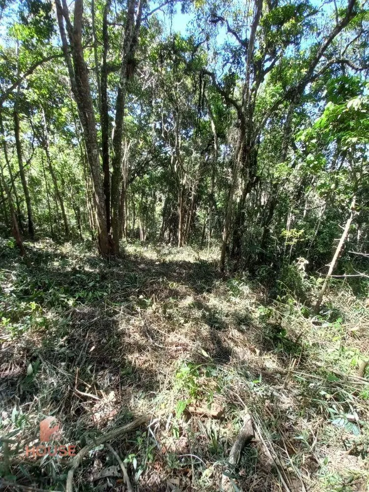 Terreno, 3 hectares - Foto 3