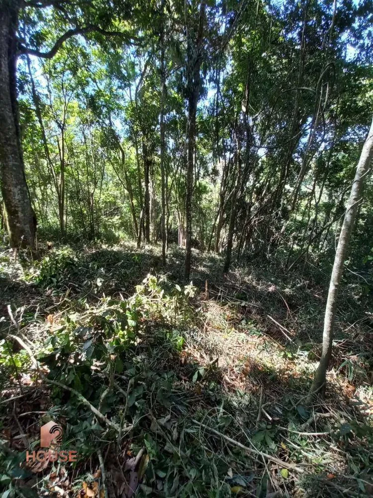 Terreno, 3 hectares - Foto 1