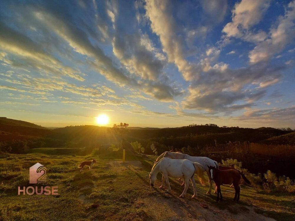 Fazenda-Sítio-Chácara, 41 hectares - Foto 4